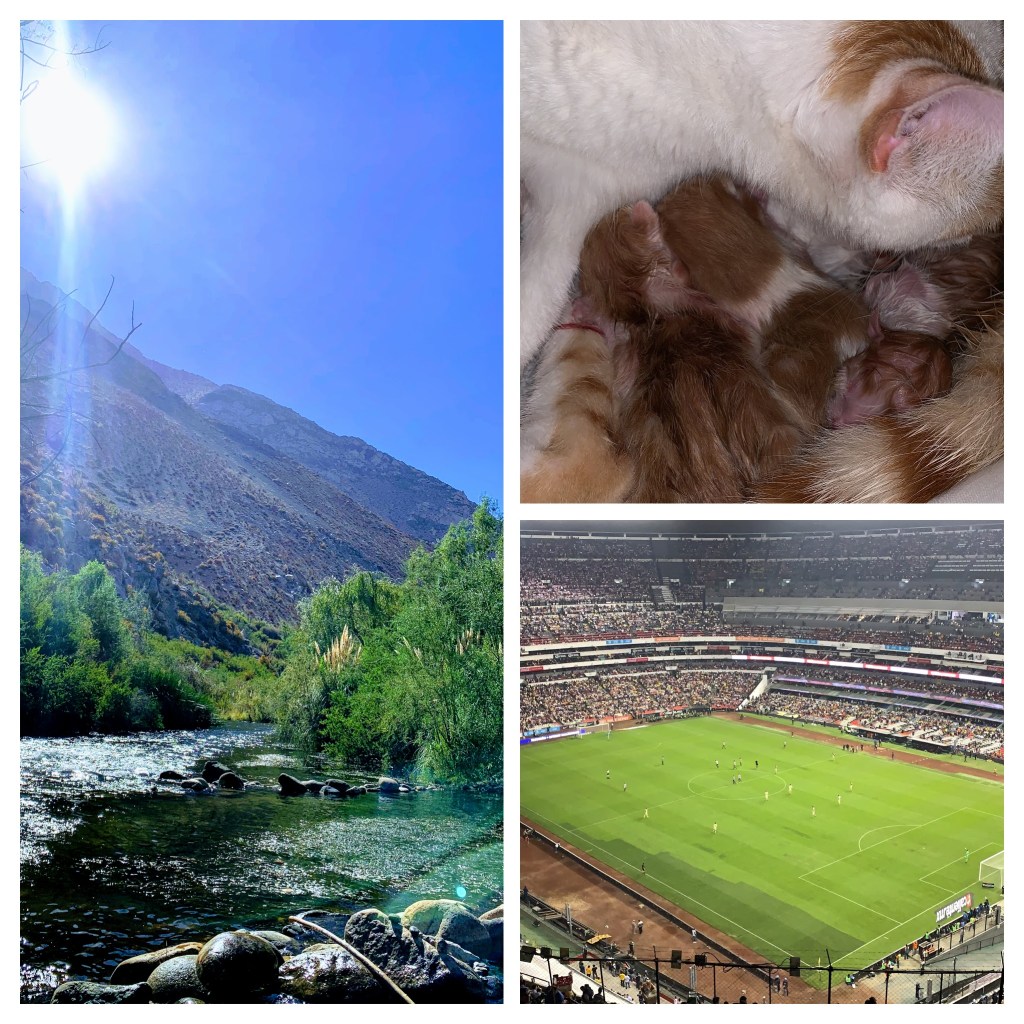 Historias de la vida misma – Parte&nbsp;1