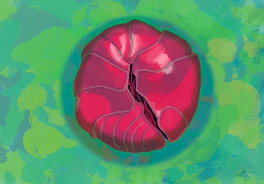 La crisis del chanchito de&nbsp;tierra